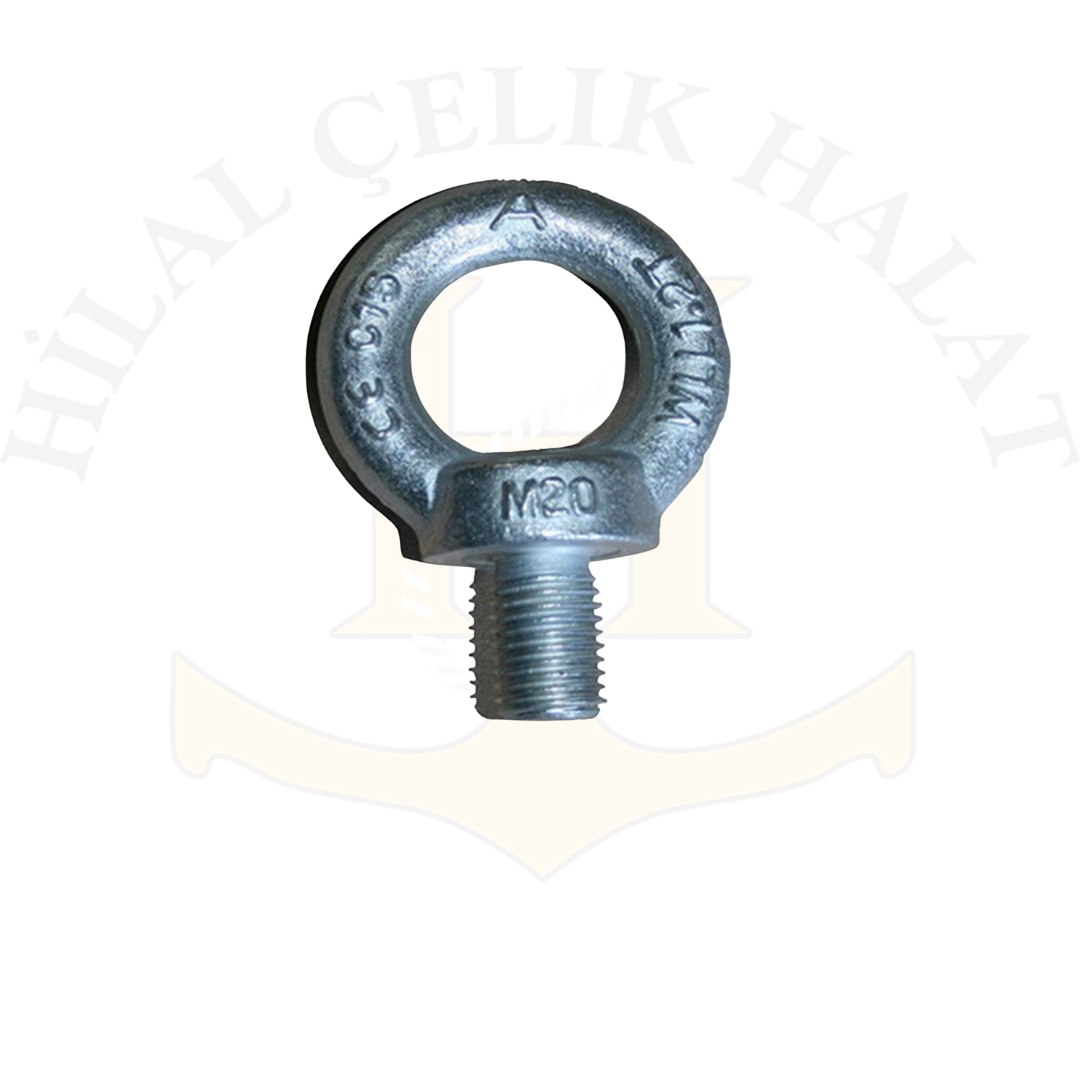 Aybolt Erkek